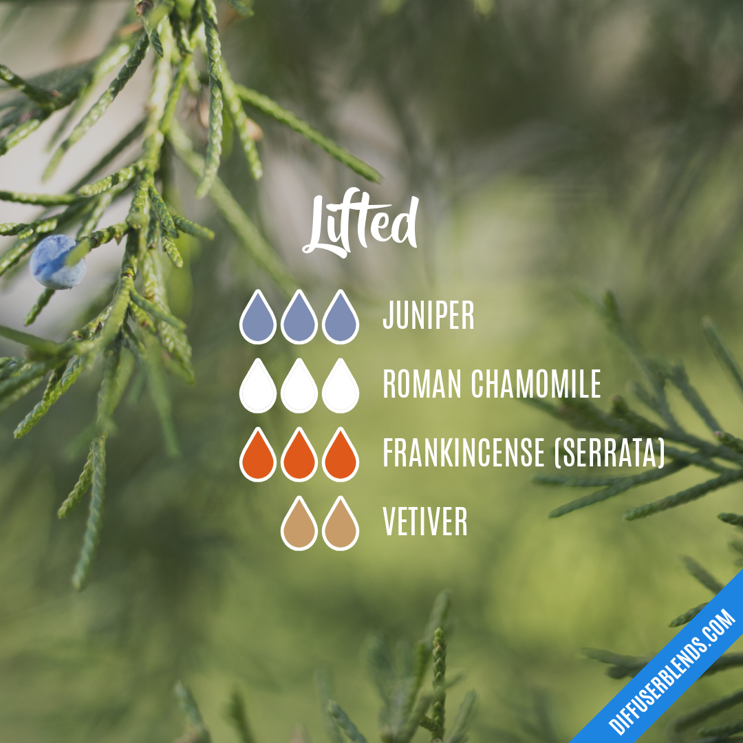 Lifted — Essential Oil Diffuser Blend