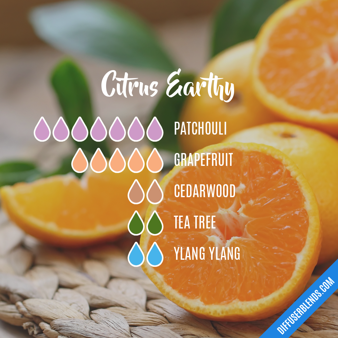 Citrus Earthy — Essential Oil Diffuser Blend