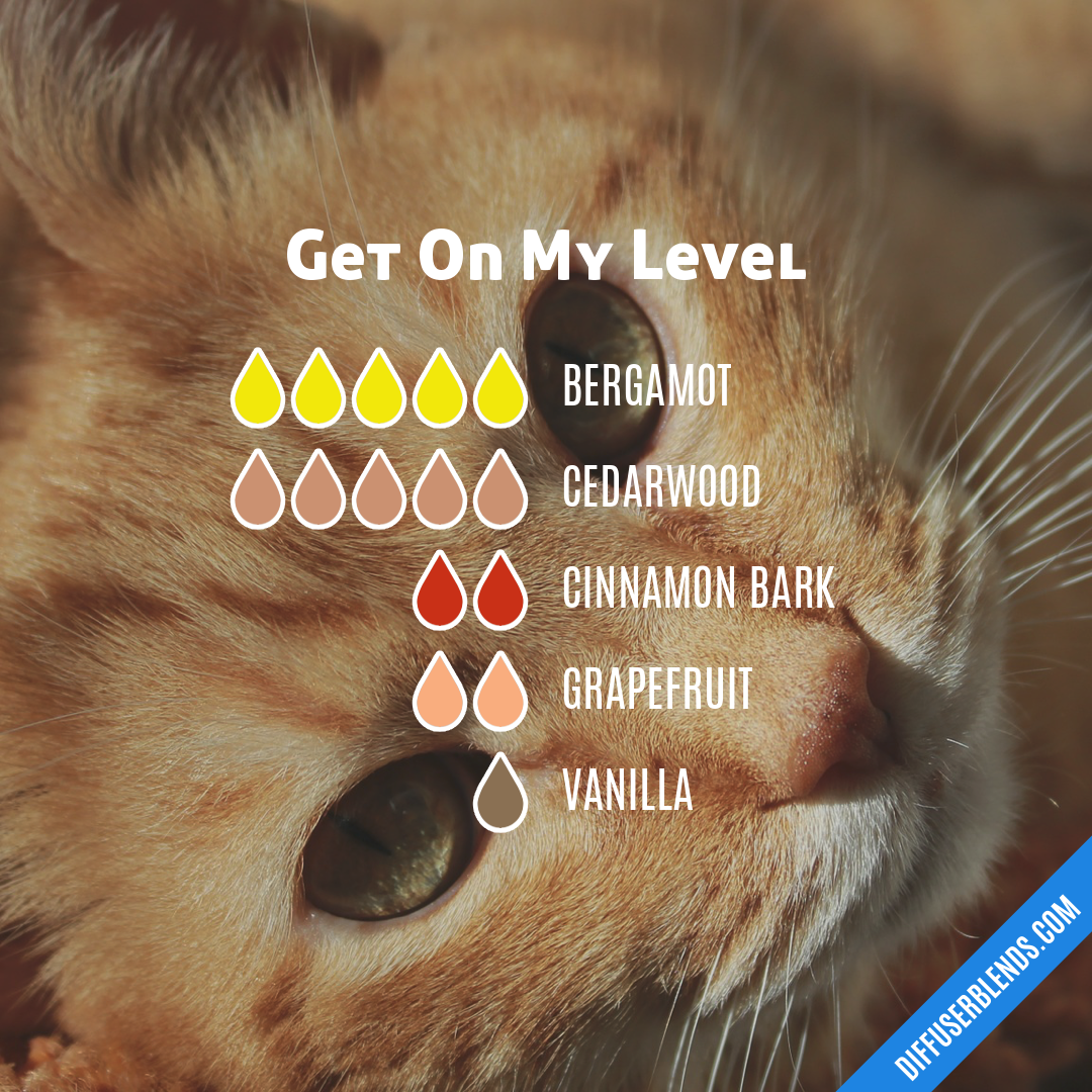 Get On My Level — Essential Oil Diffuser Blend