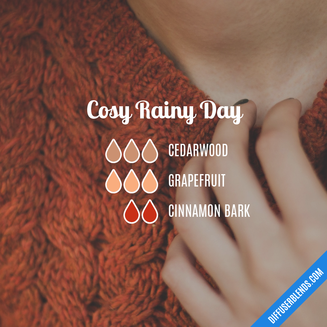 Cosy Rainy Day — Essential Oil Diffuser Blend