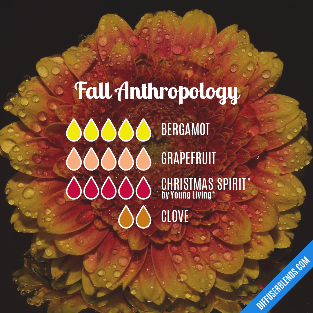 Fall Anthropology — Essential Oil Diffuser Blend