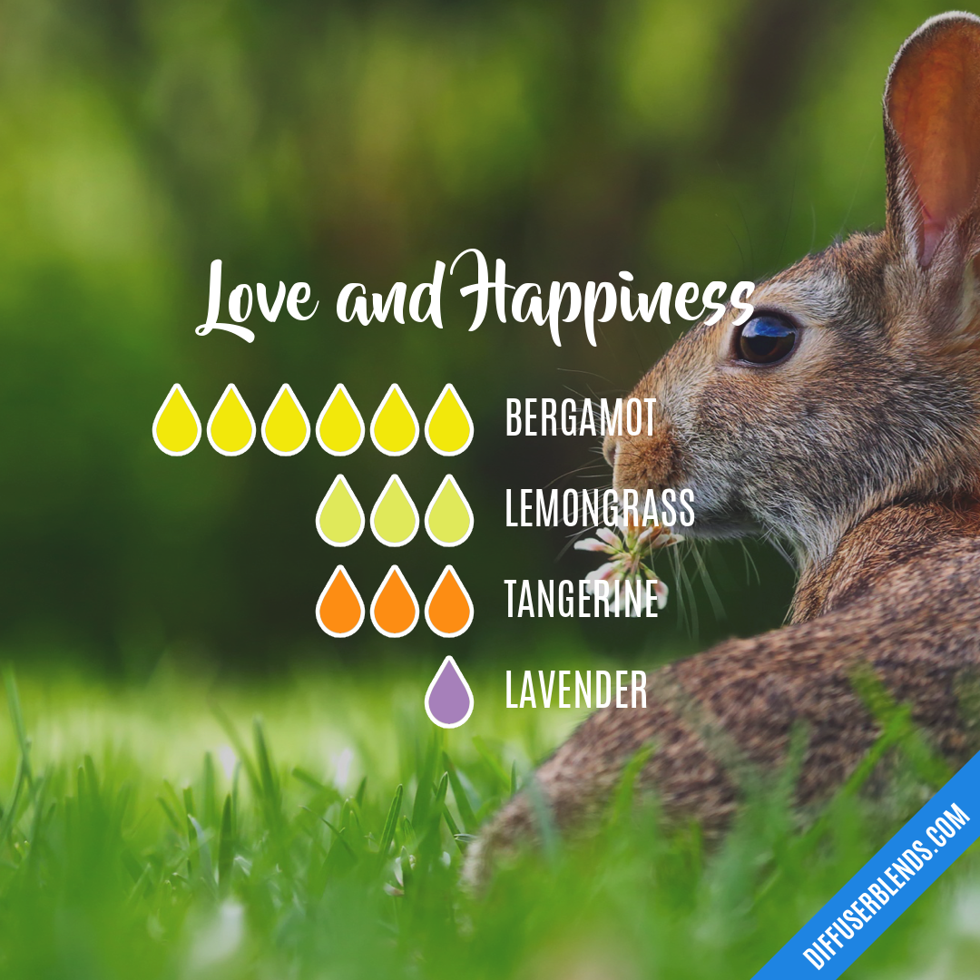 Love and Happiness — Essential Oil Diffuser Blend
