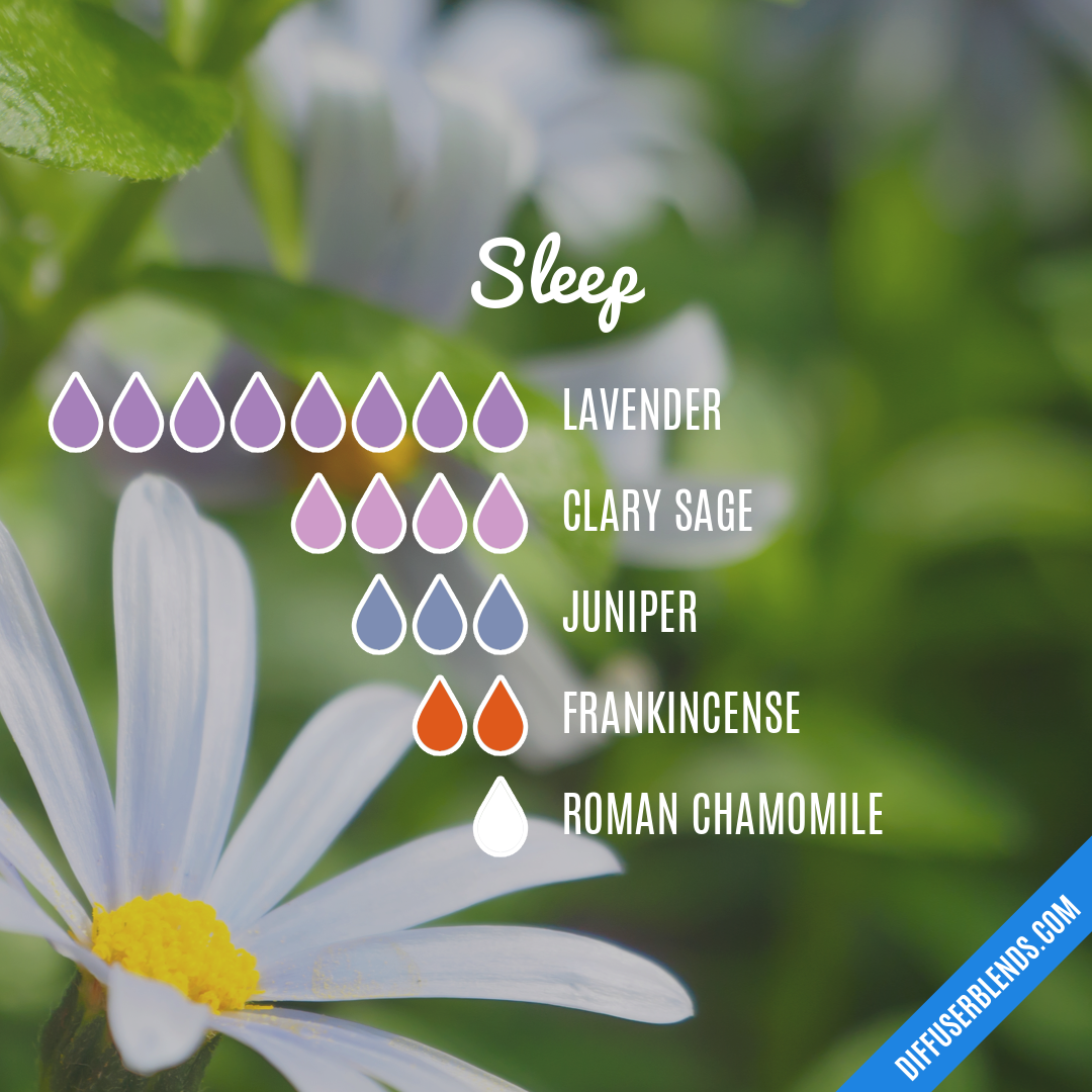 Sleep — Essential Oil Diffuser Blend
