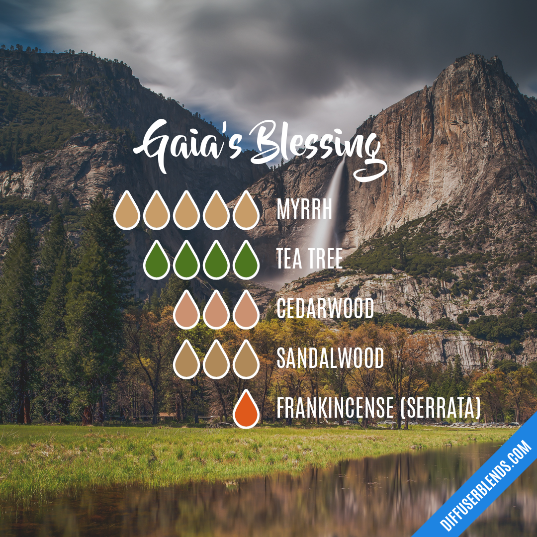 Gaia's Blessing — Essential Oil Diffuser Blend
