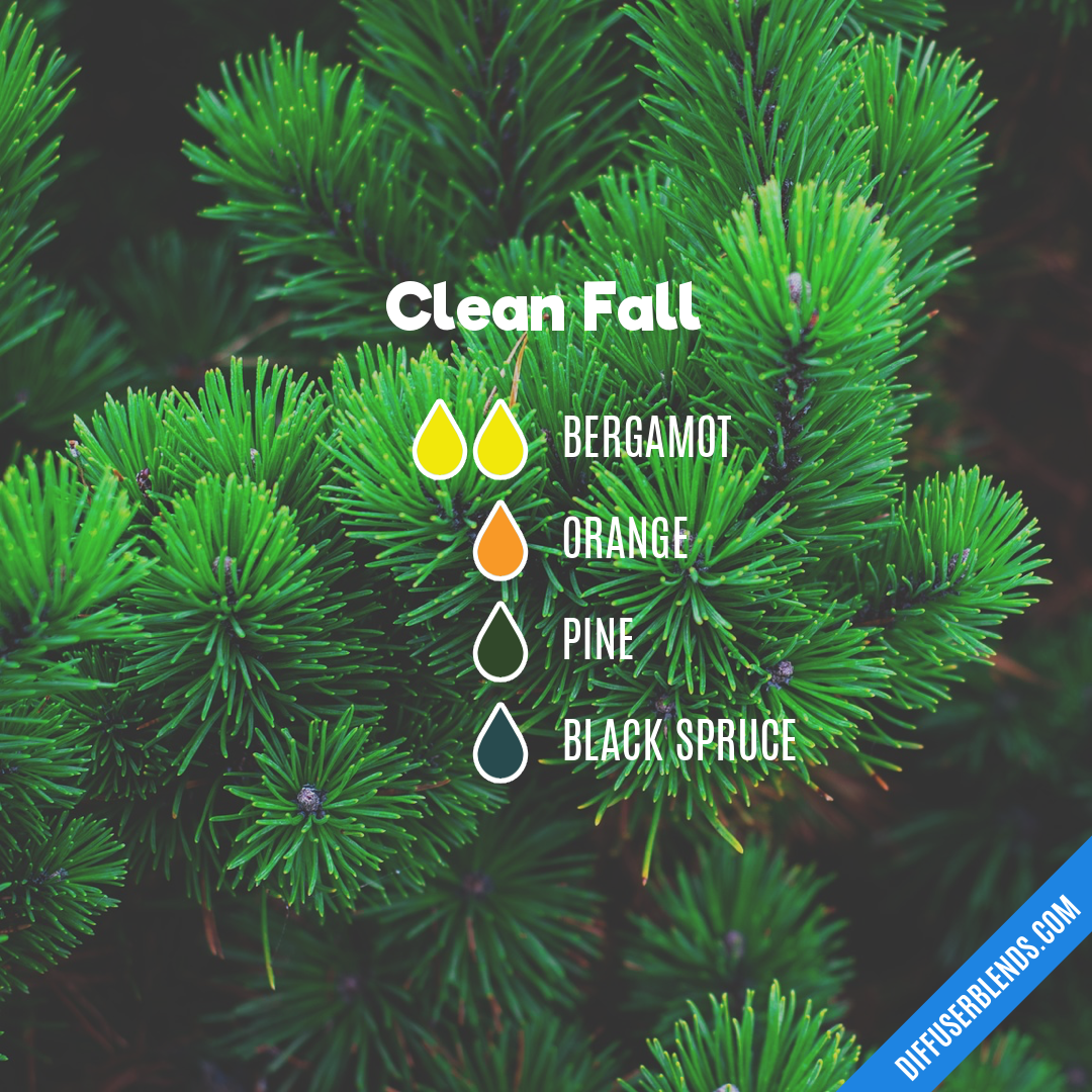 Clean Fall | DiffuserBlends.com