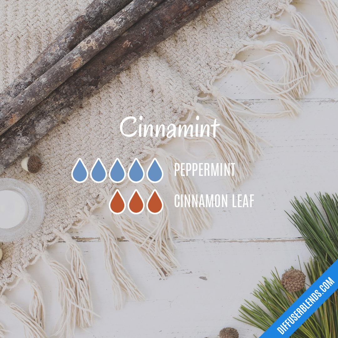 Cinnamint — Essential Oil Diffuser Blend