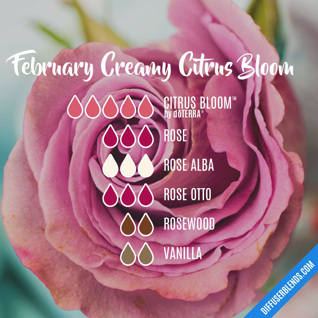 February Creamy Citrus Bloom — Essential Oil Diffuser Blend