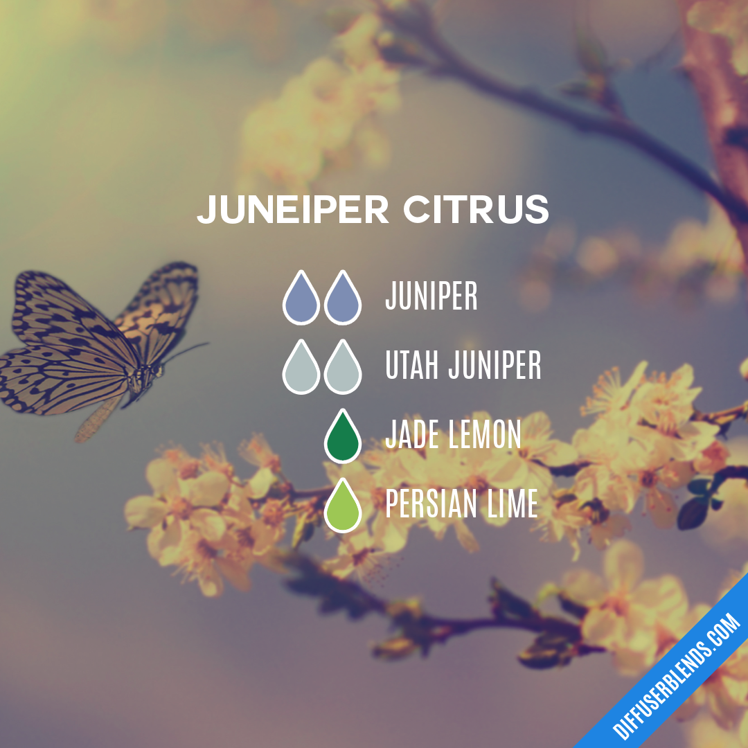 Juneiper Citrus — Essential Oil Diffuser Blend