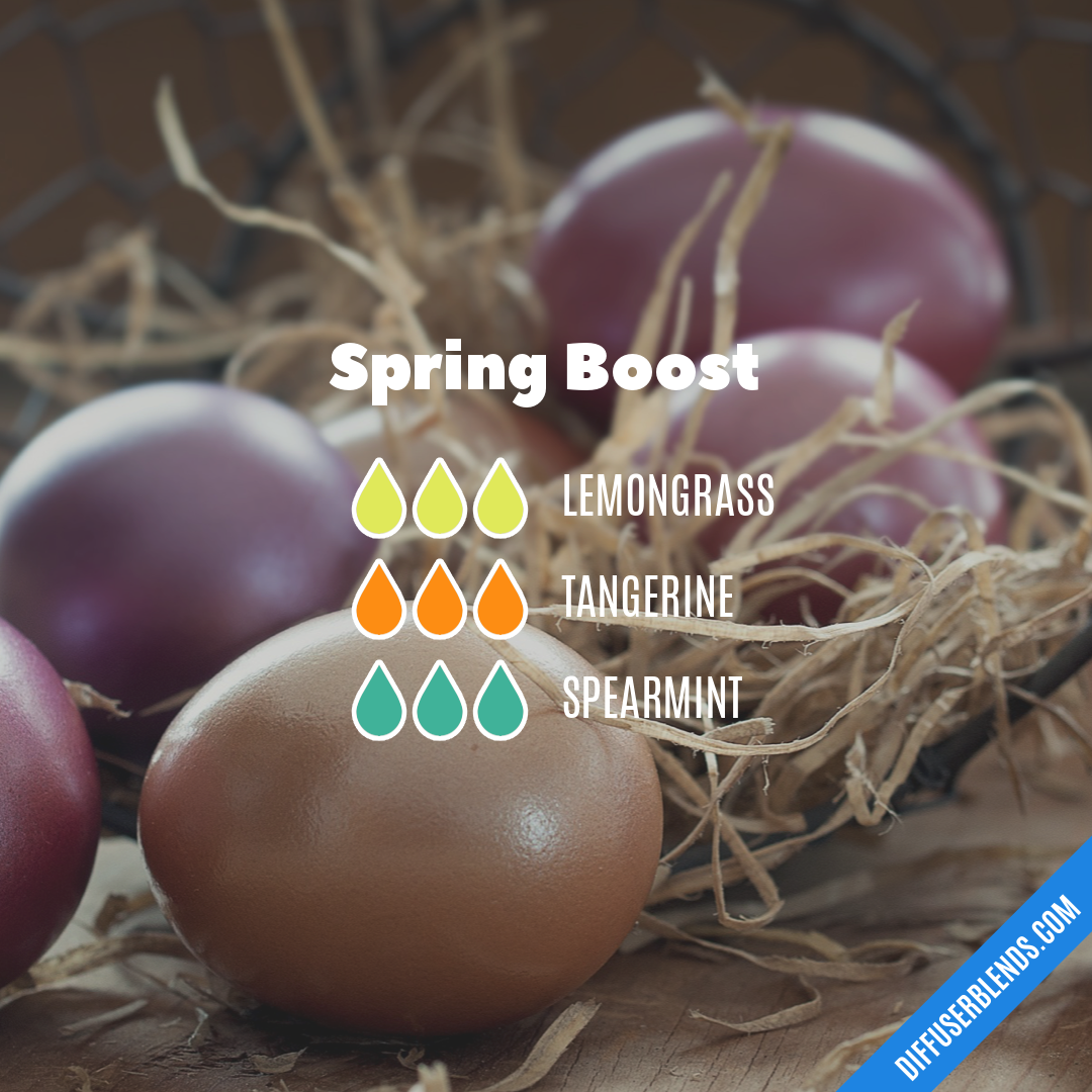 Spring Boost — Essential Oil Diffuser Blend