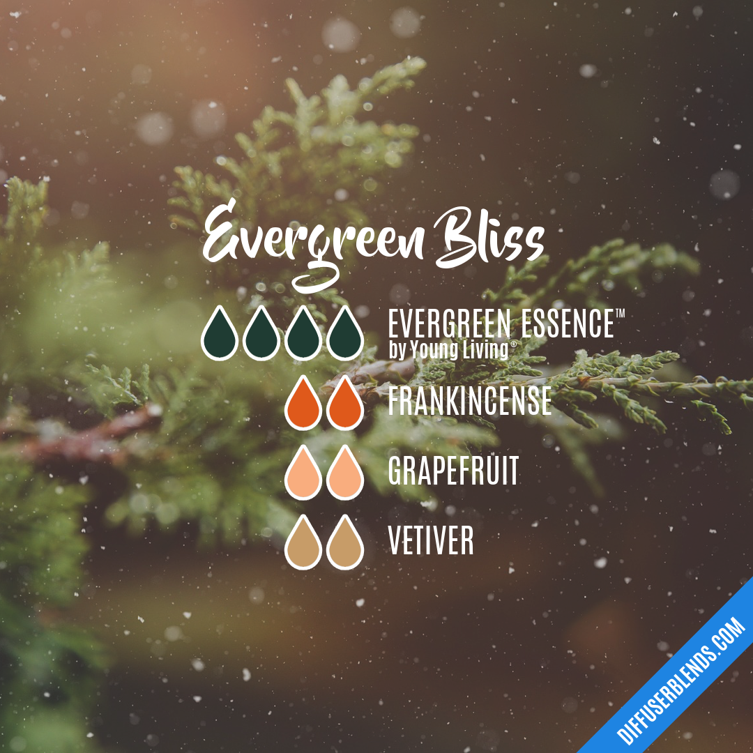Evergreen Bliss — Essential Oil Diffuser Blend