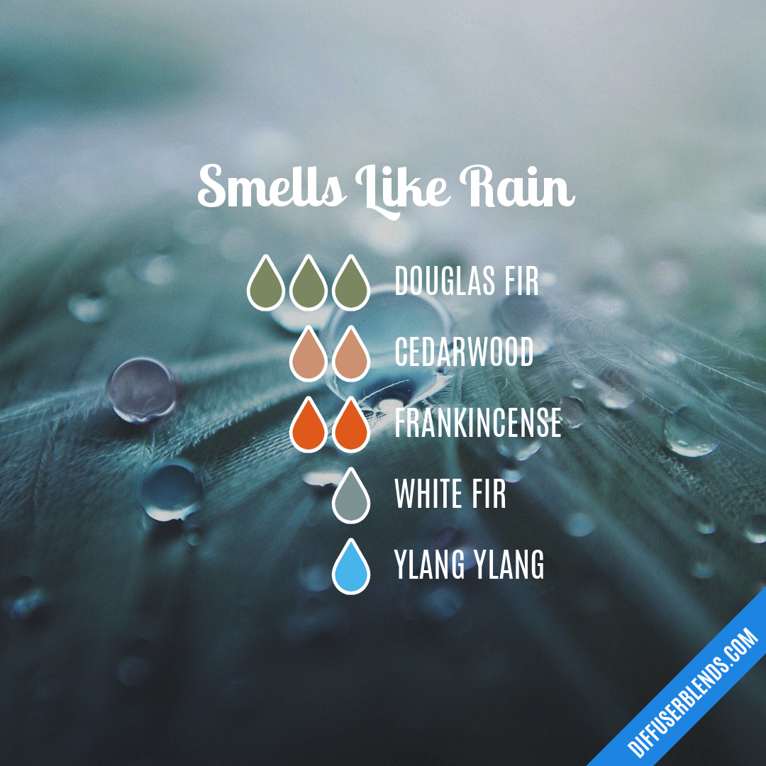 Smells Like Rain — Essential Oil Diffuser Blend