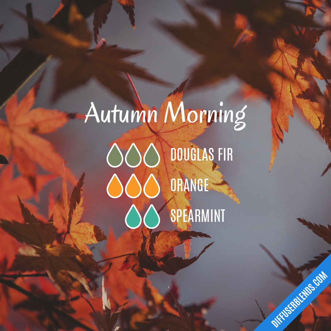 Autumn Morning — Essential Oil Diffuser Blend