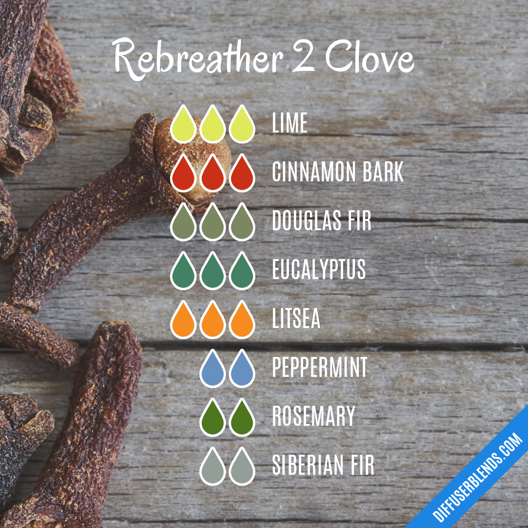 Rebreather 2 Clove — Essential Oil Diffuser Blend