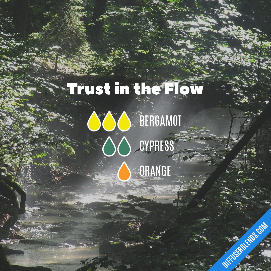 Trust in the Flow — Essential Oil Diffuser Blend