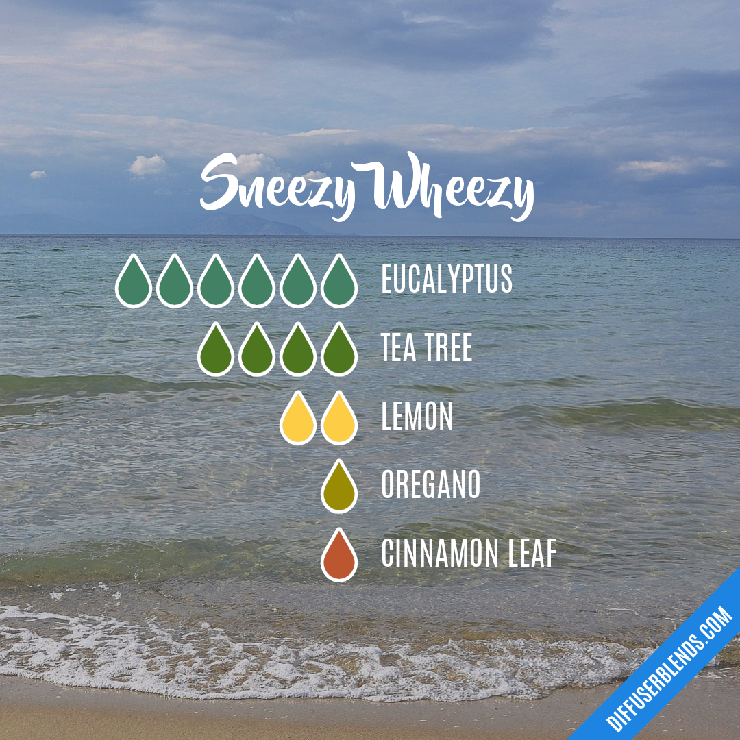 Sneezy Wheezy — Essential Oil Diffuser Blend