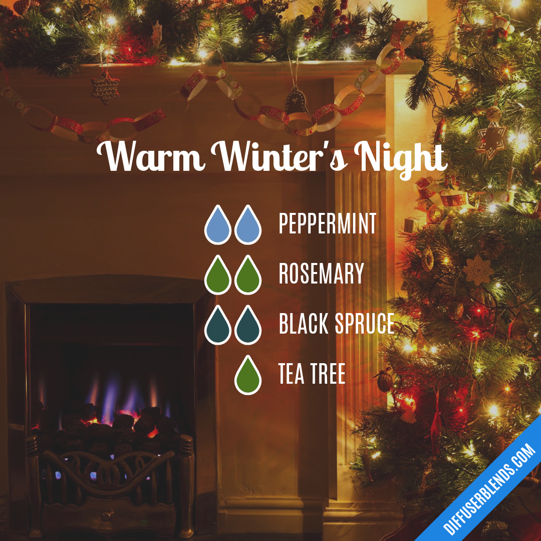 Warm Winter's Night — Essential Oil Diffuser Blend