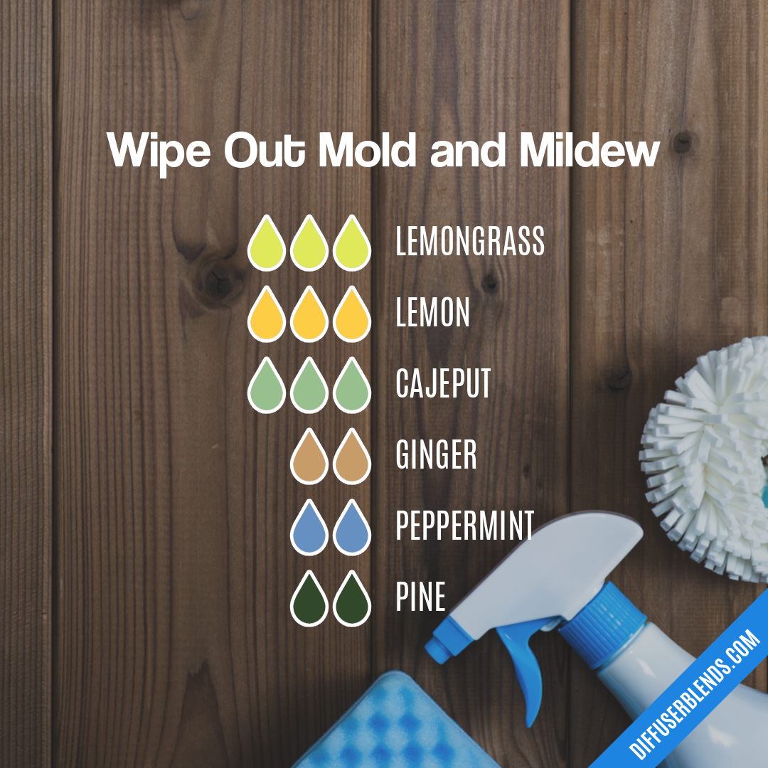 Wipe Out Mold and Mildew