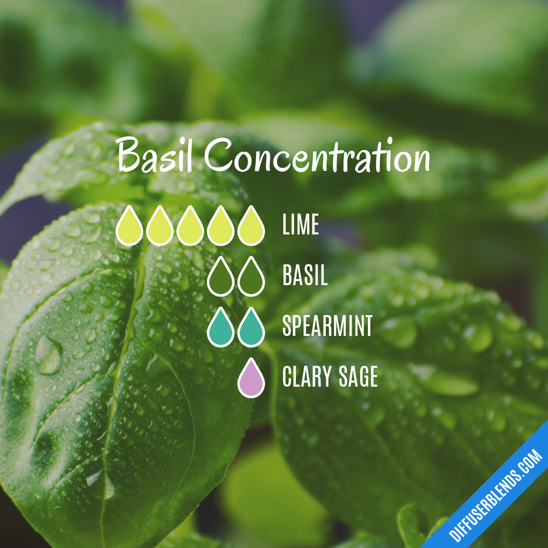 Basil Concentration — Essential Oil Diffuser Blend
