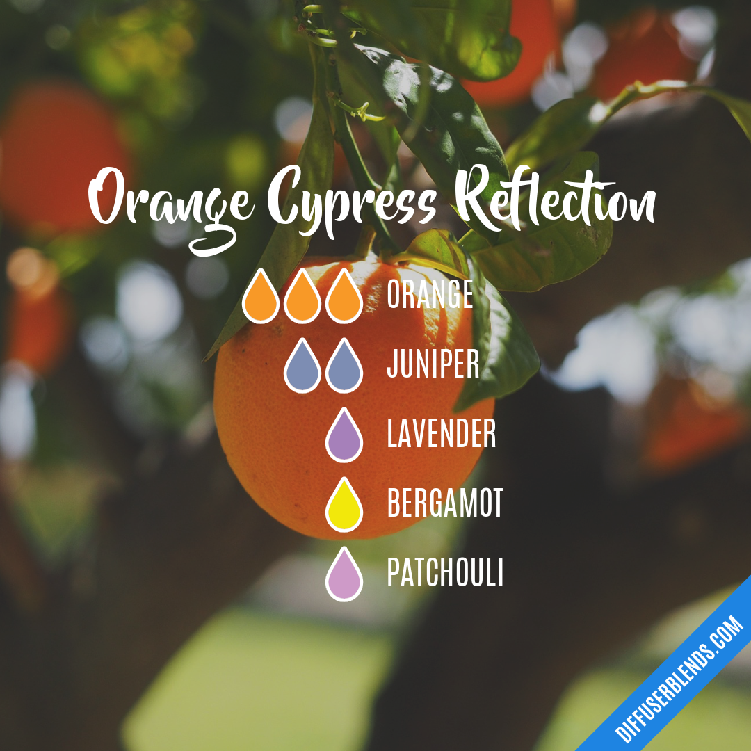 Orange Cypress Reflection — Essential Oil Diffuser Blend