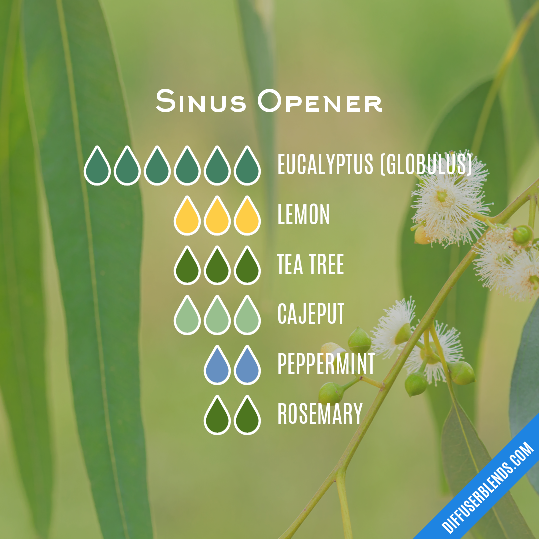 Sinus Opener — Essential Oil Diffuser Blend