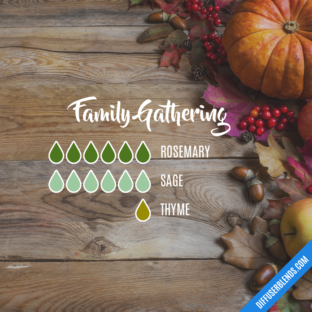 Family Gathering — Essential Oil Diffuser Blend