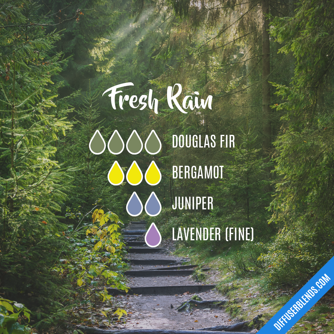 Fresh Rain — Essential Oil Diffuser Blend