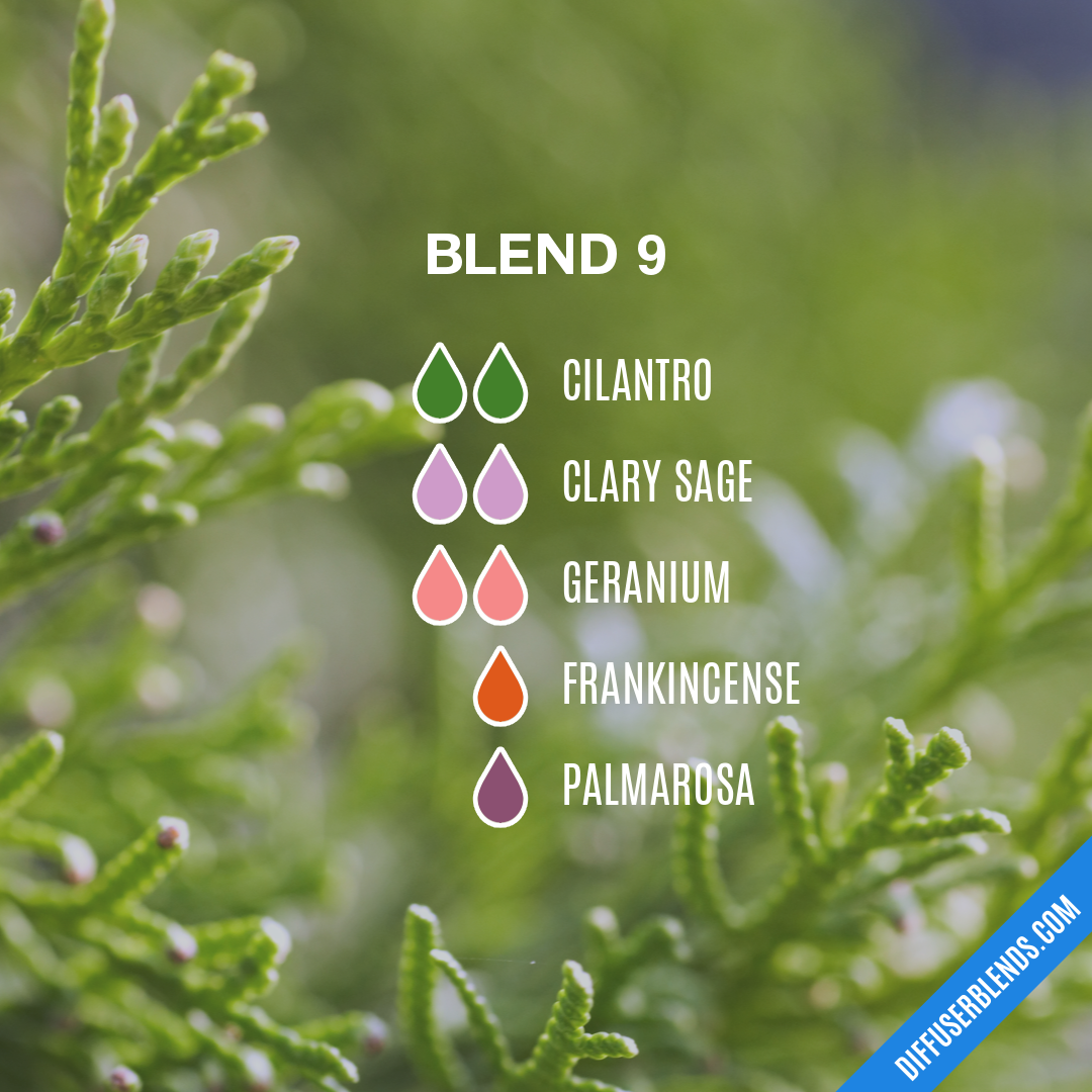 Blend 9 — Essential Oil Diffuser Blend
