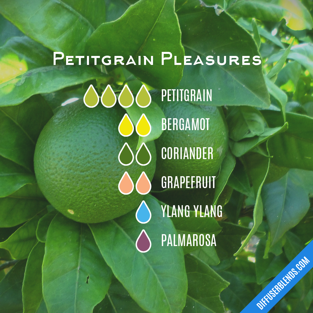 Petitgrain Pleasures — Essential Oil Diffuser Blend
