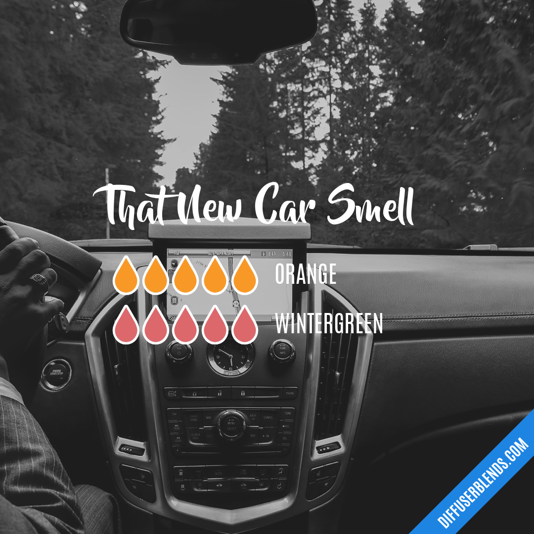 That New Car Smell — Essential Oil Diffuser Blend