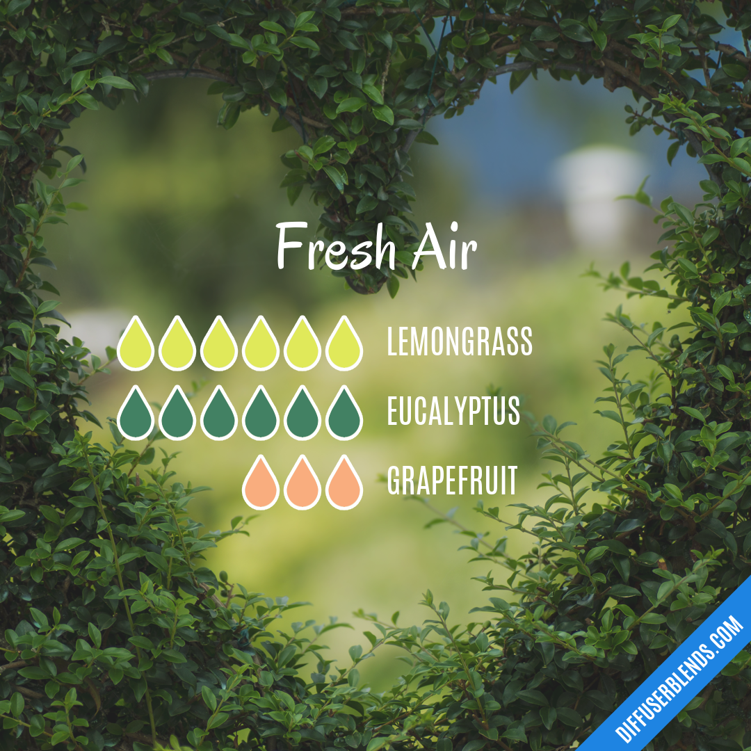 Fresh Air — Essential Oil Diffuser Blend