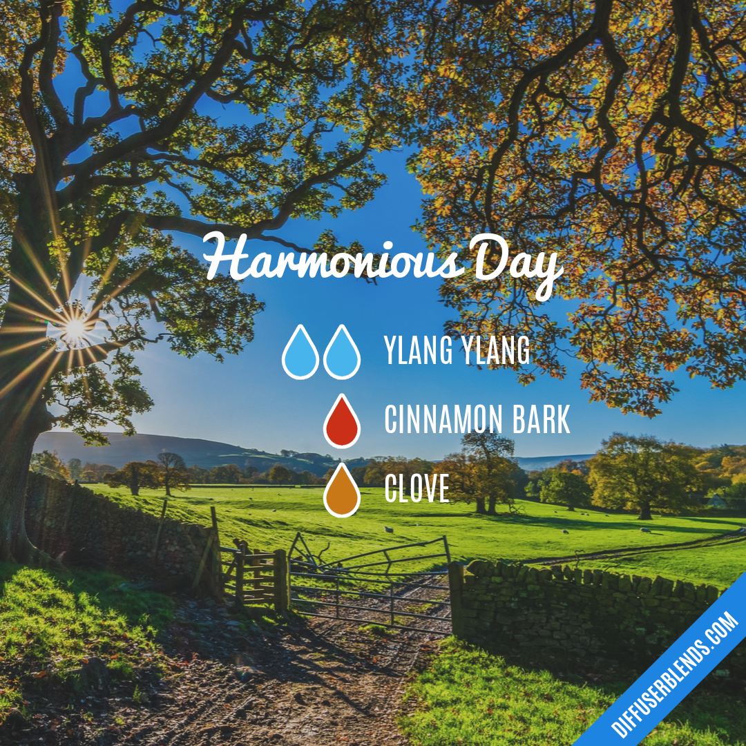 Harmonious Day — Essential Oil Diffuser Blend