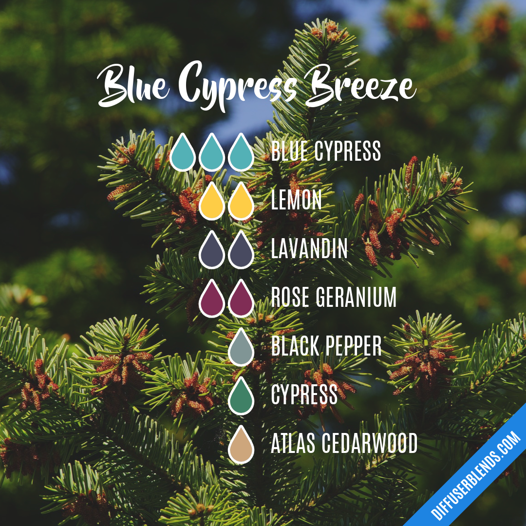 Blue Cypress Breeze — Essential Oil Diffuser Blend