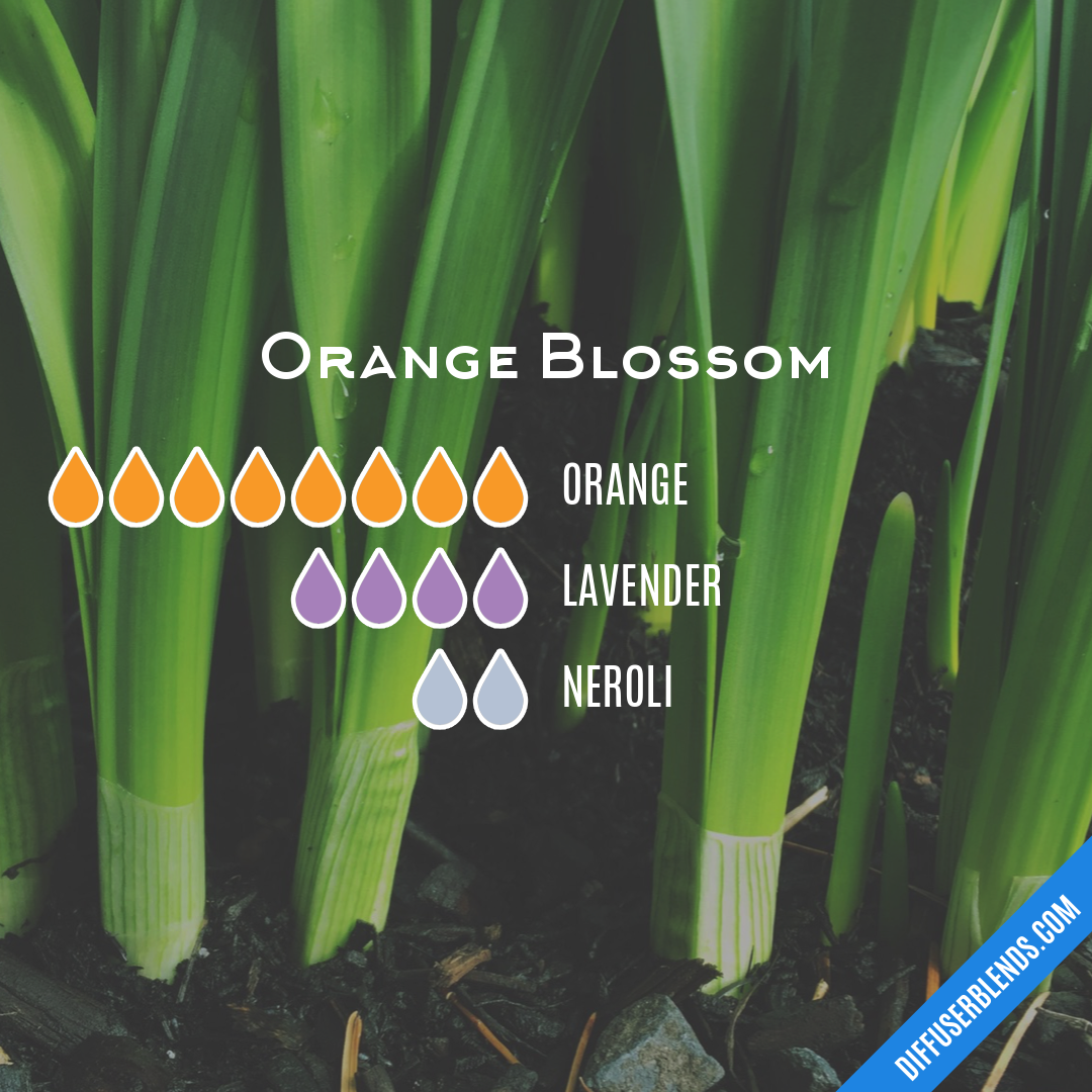 Orange Blossom — Essential Oil Diffuser Blend
