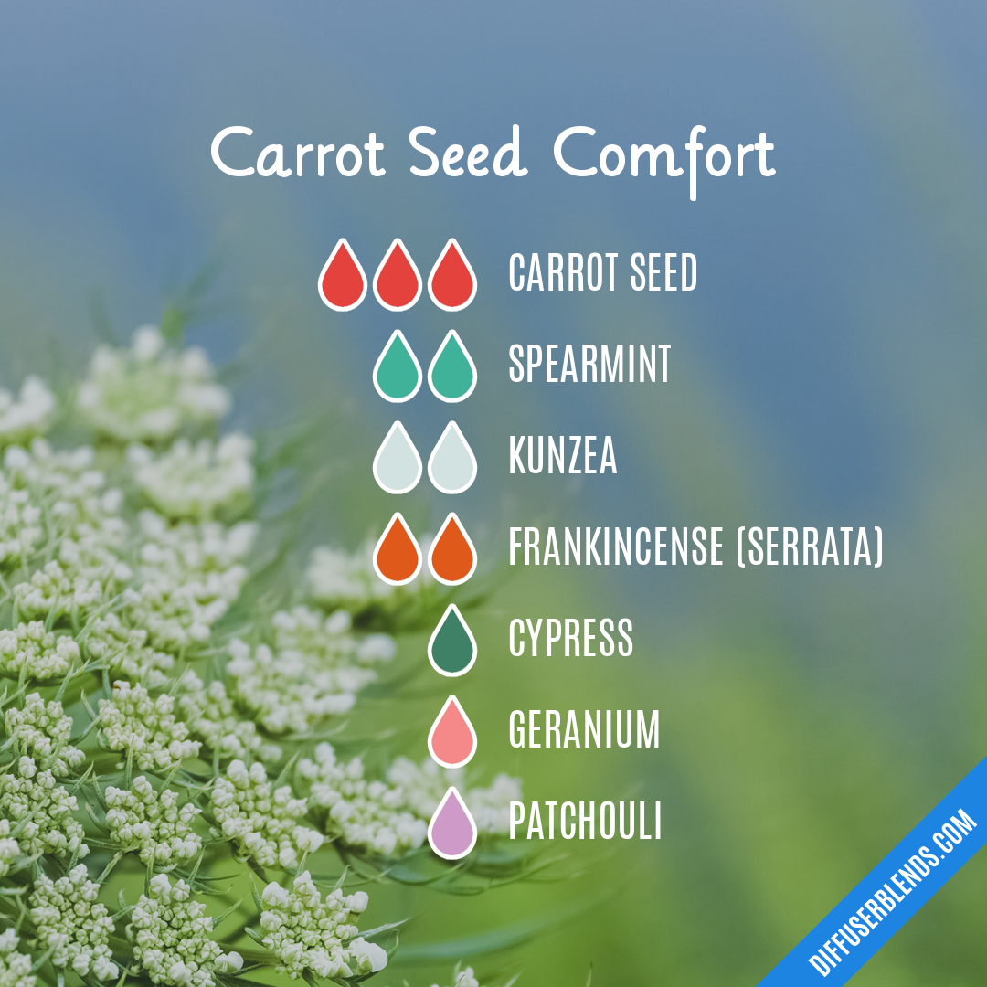 Carrot Seed Comfort — Essential Oil Diffuser Blend