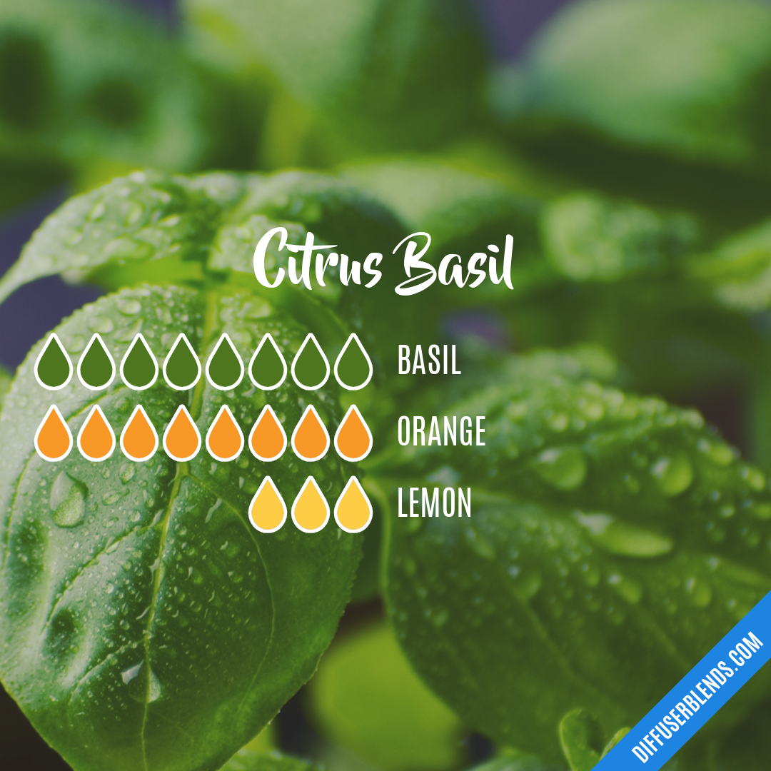 Citrus Basil — Essential Oil Diffuser Blend