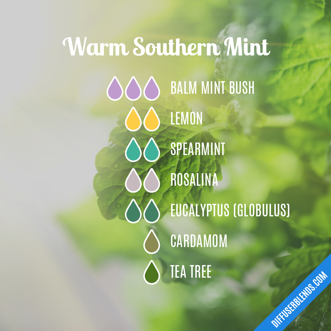 Warm Southern Mint — Essential Oil Diffuser Blend