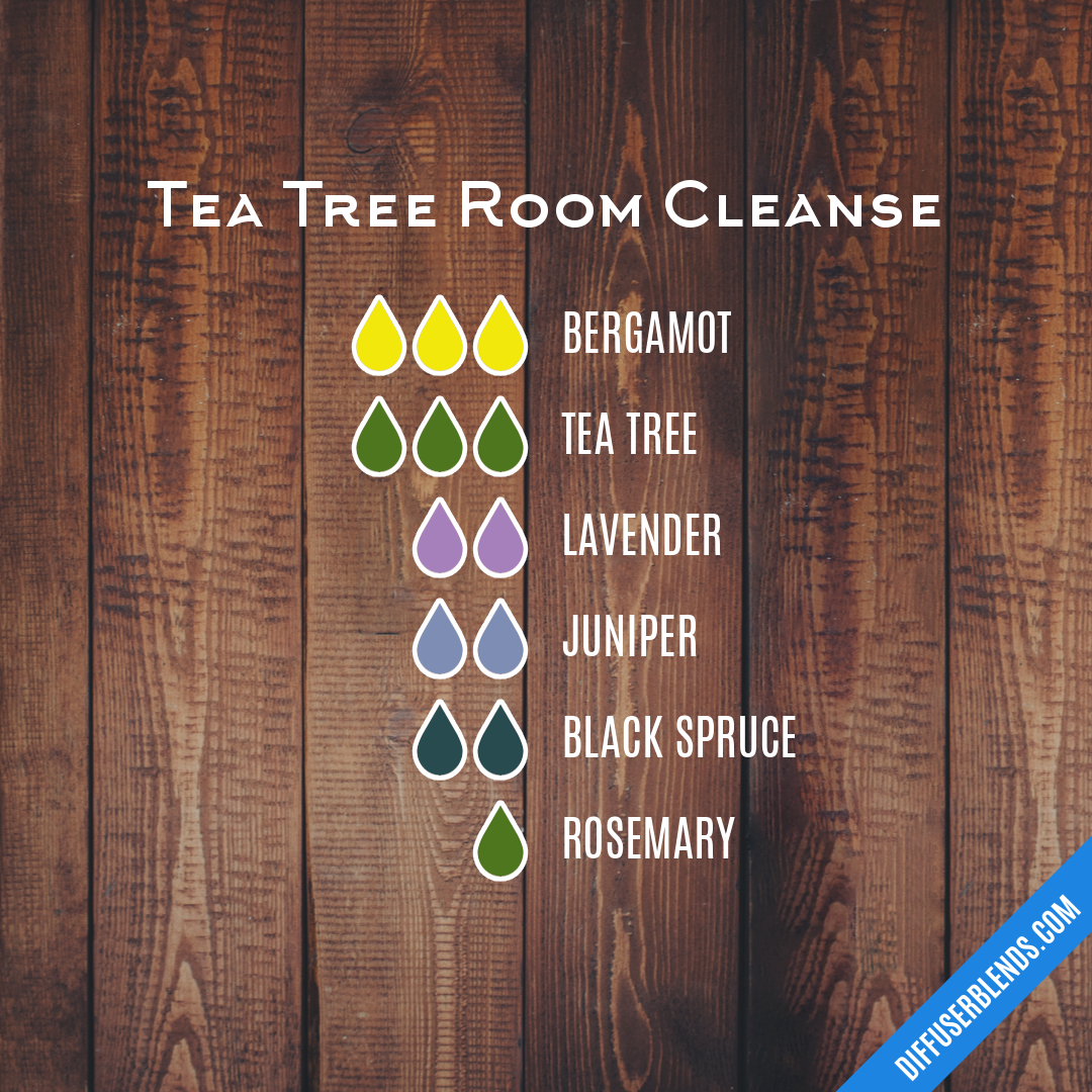 Tea Tree Room Cleanse — Essential Oil Diffuser Blend