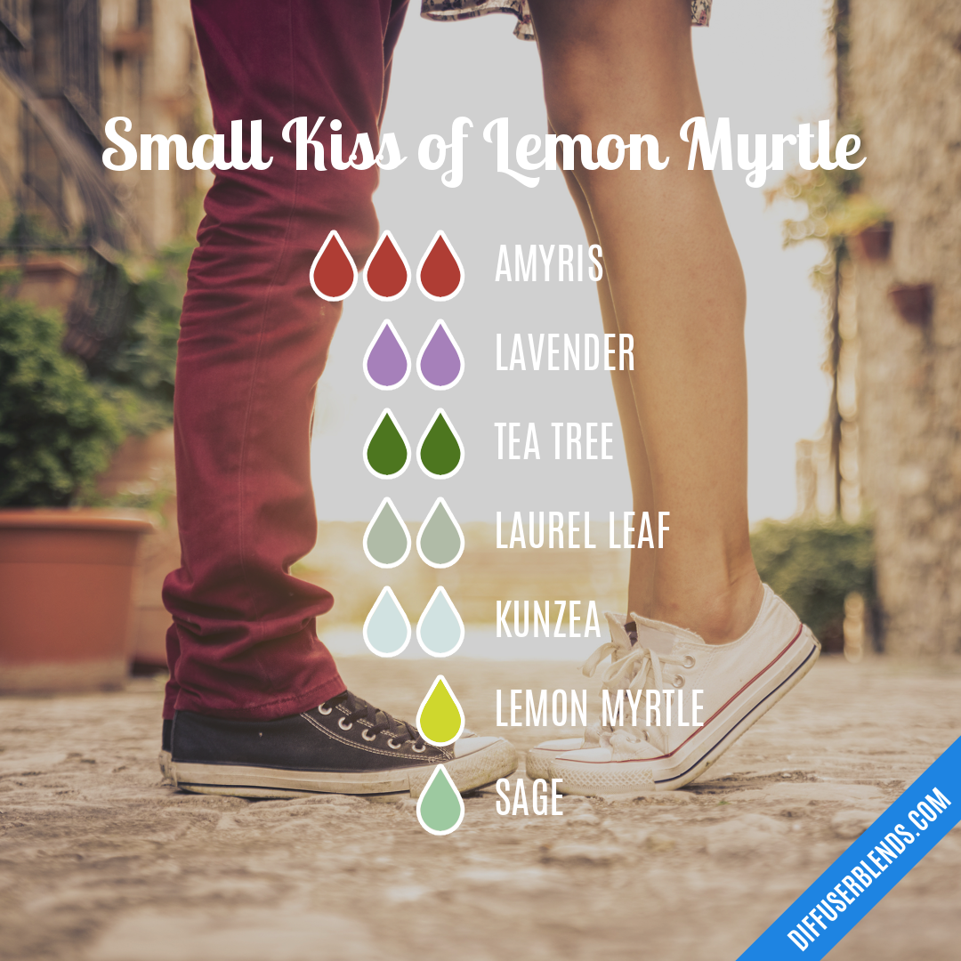 Small Kiss of Lemon Myrtle — Essential Oil Diffuser Blend