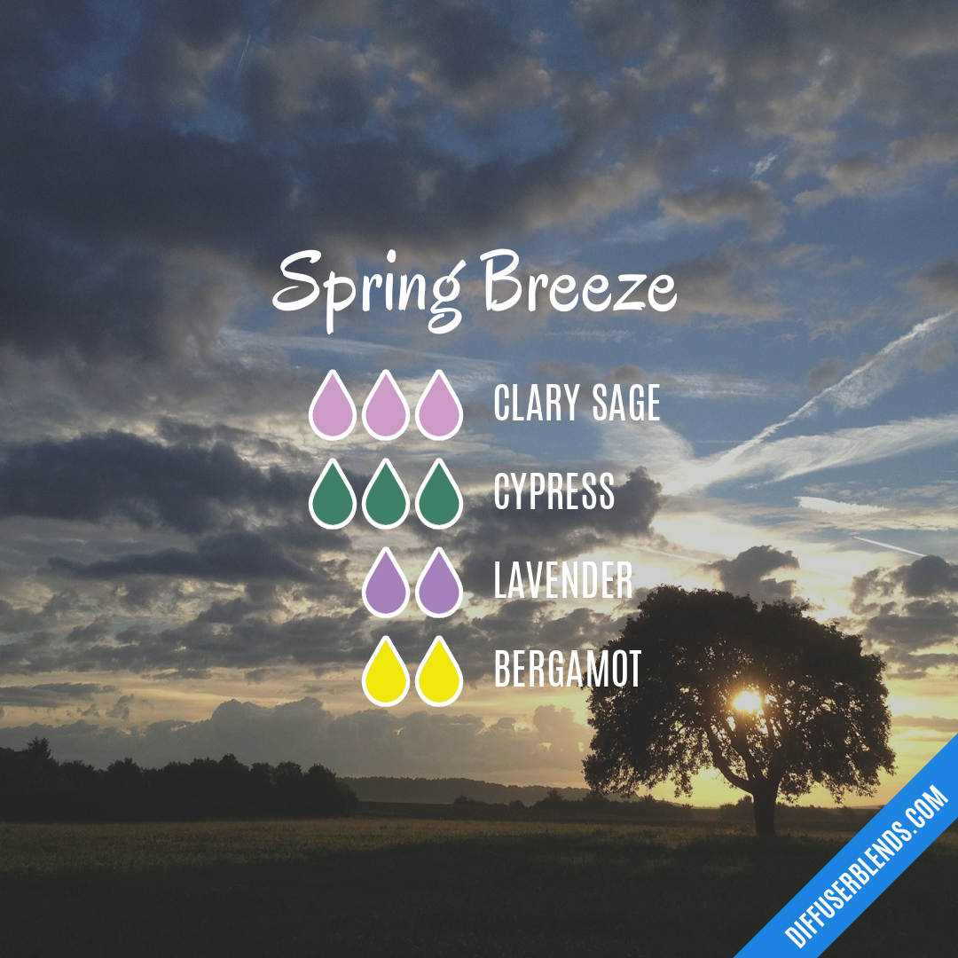 Spring Breeze — Essential Oil Diffuser Blend