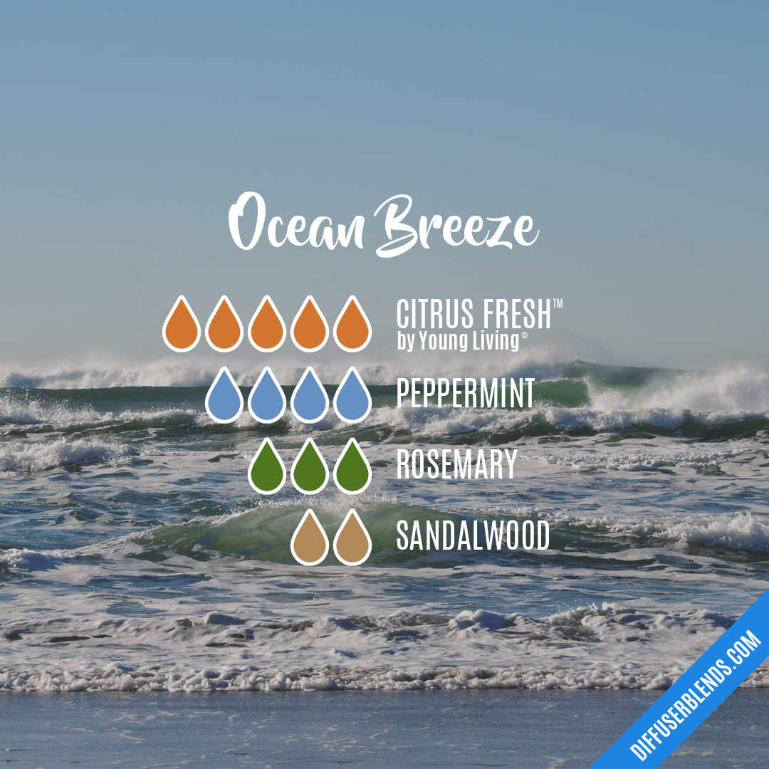 Ocean Breeze | DiffuserBlends.com