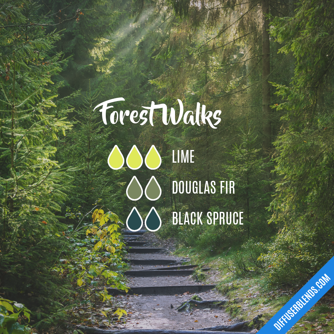 Forest Walks — Essential Oil Diffuser Blend