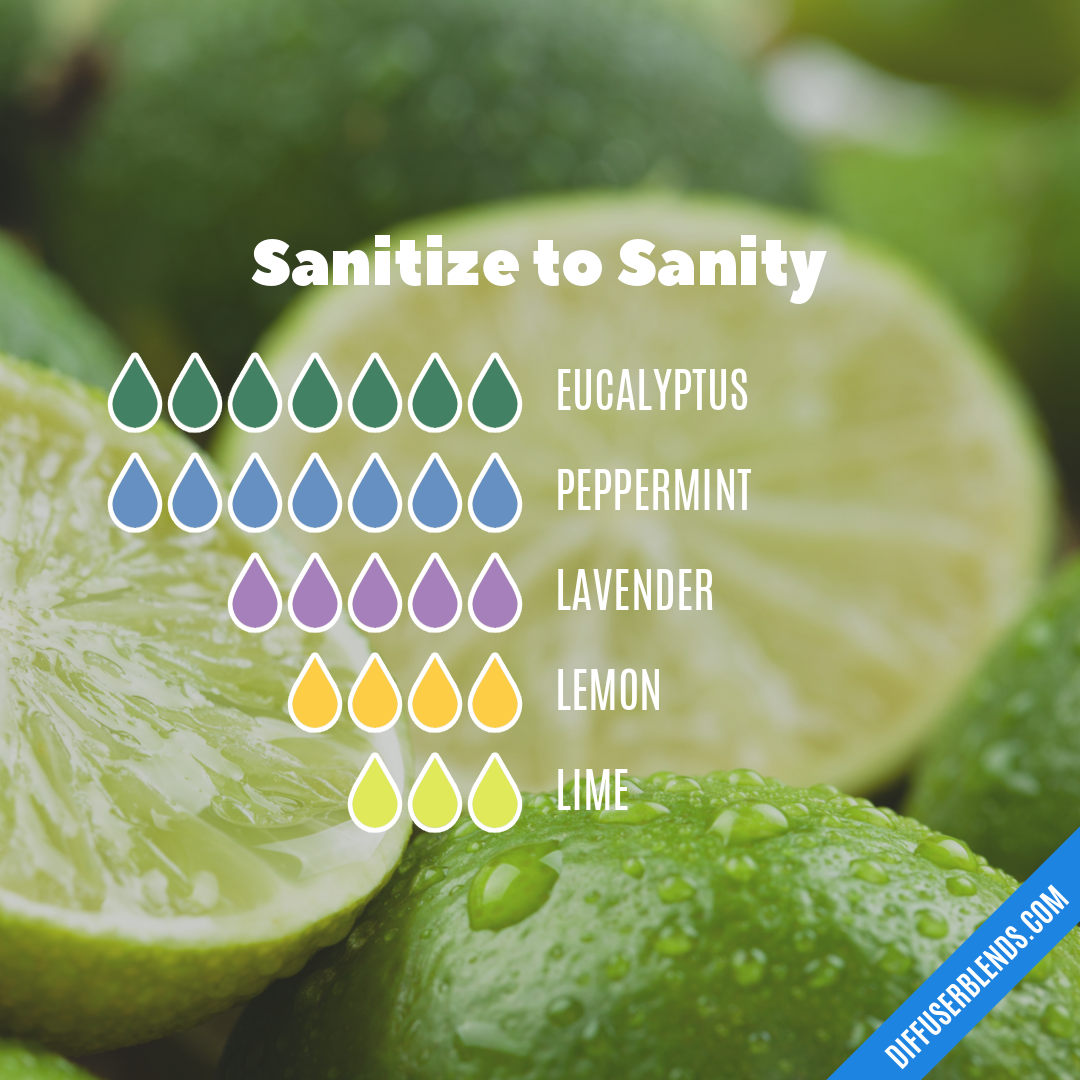 Sanitize to Sanity — Essential Oil Diffuser Blend