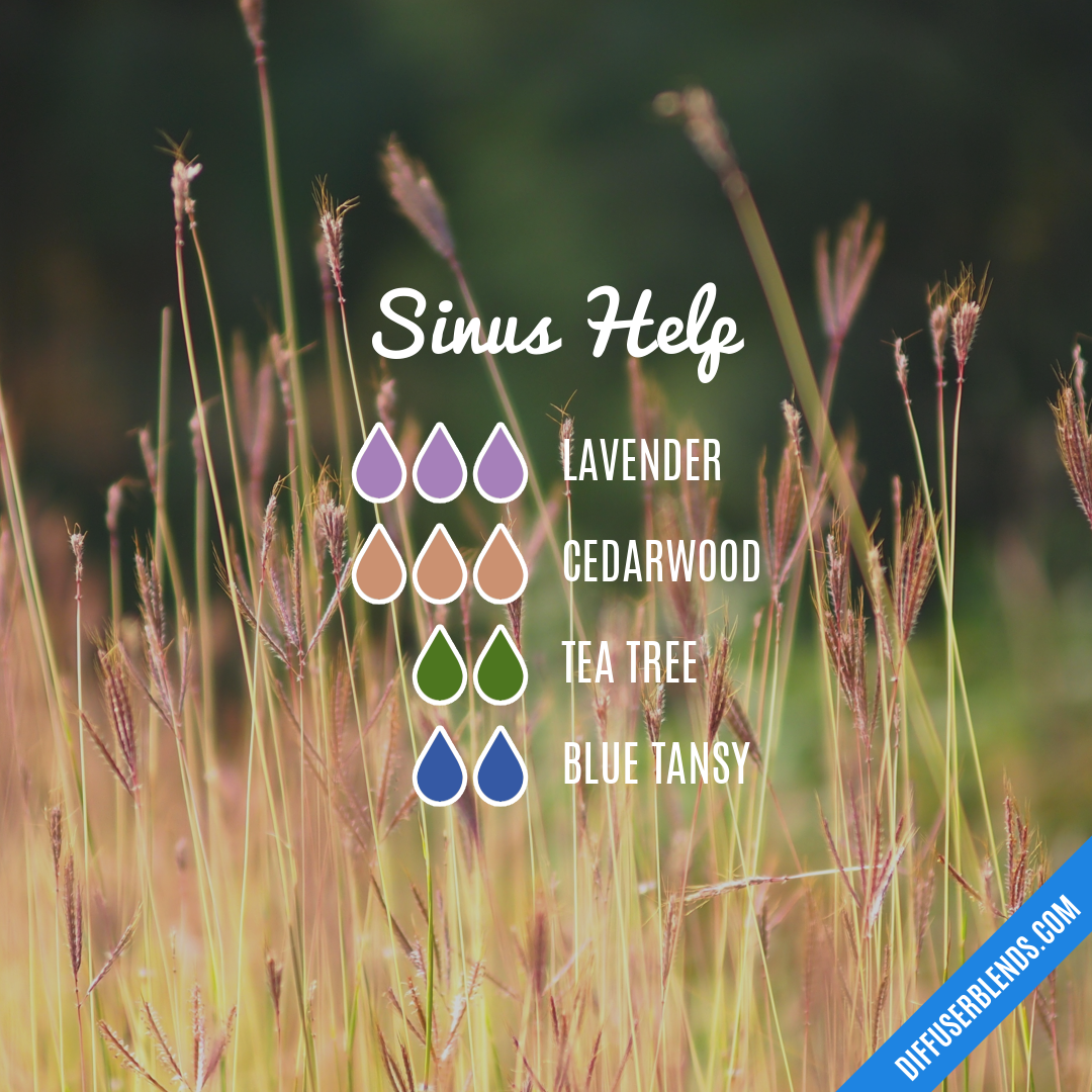Sinus Help — Essential Oil Diffuser Blend