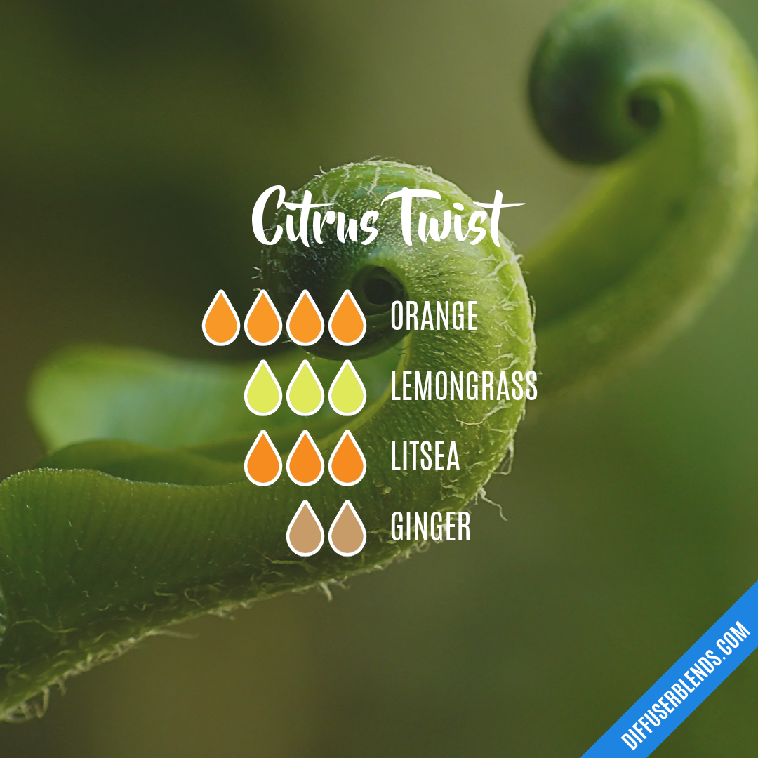 Citrus Twist — Essential Oil Diffuser Blend