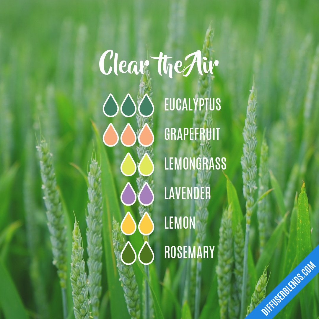 Clear the Air — Essential Oil Diffuser Blend
