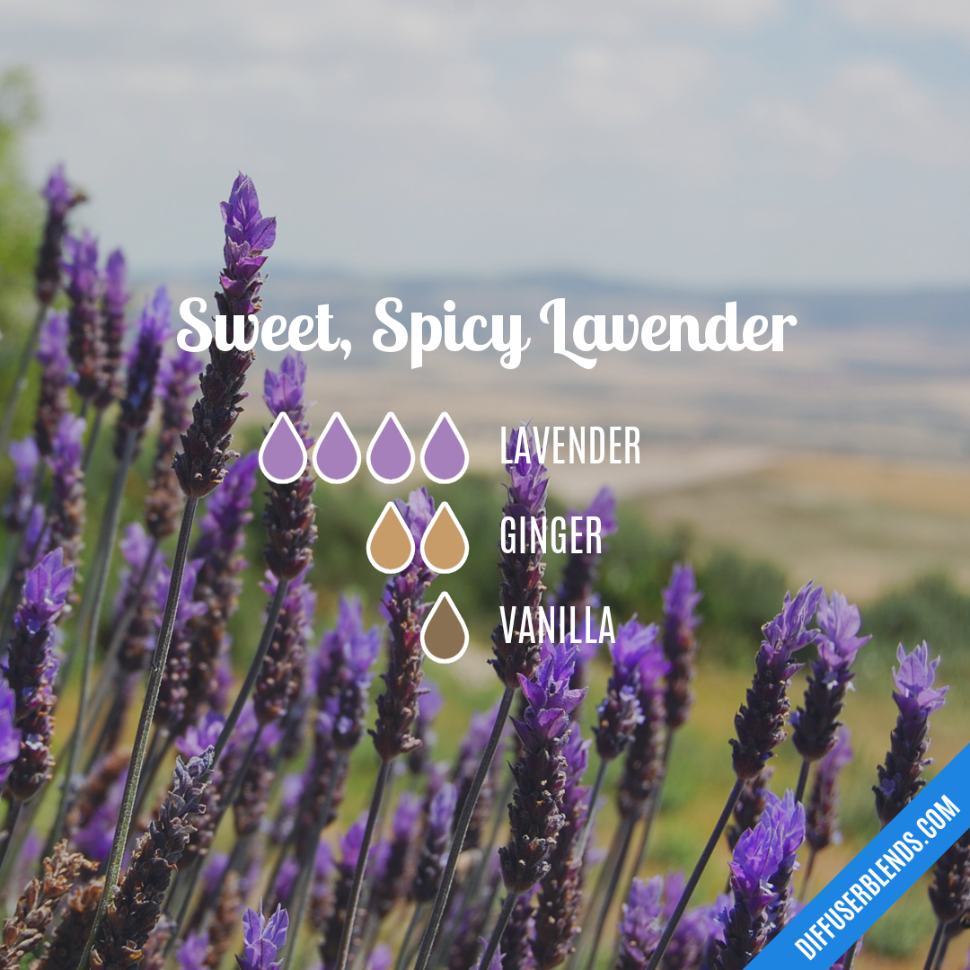 Sweet, Spicy Lavender — Essential Oil Diffuser Blend