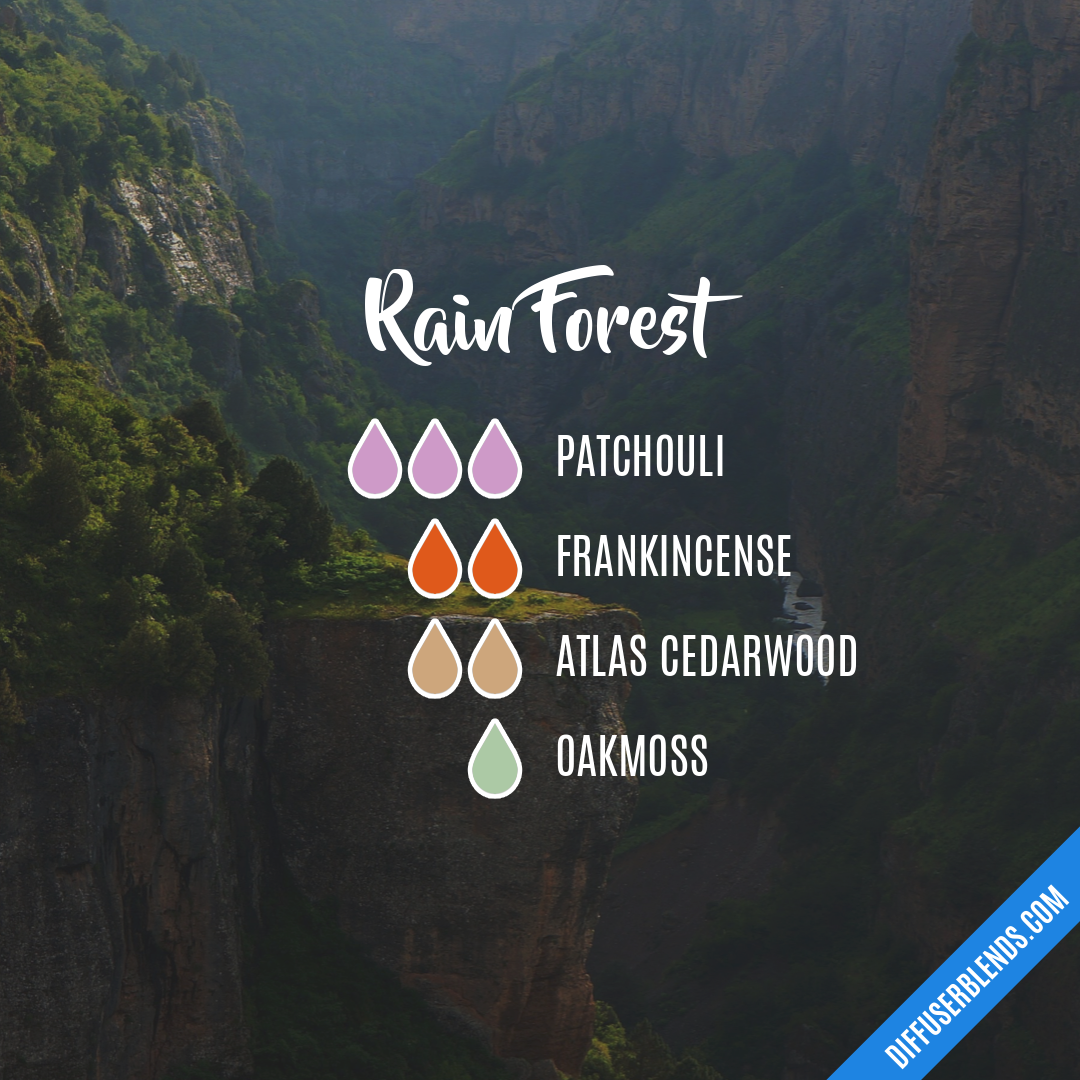 Rain Forest — Essential Oil Diffuser Blend