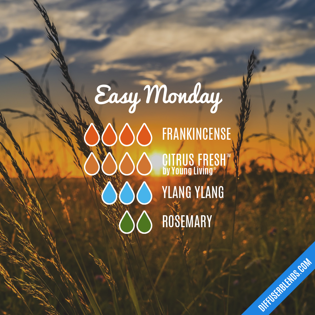 Easy Monday — Essential Oil Diffuser Blend