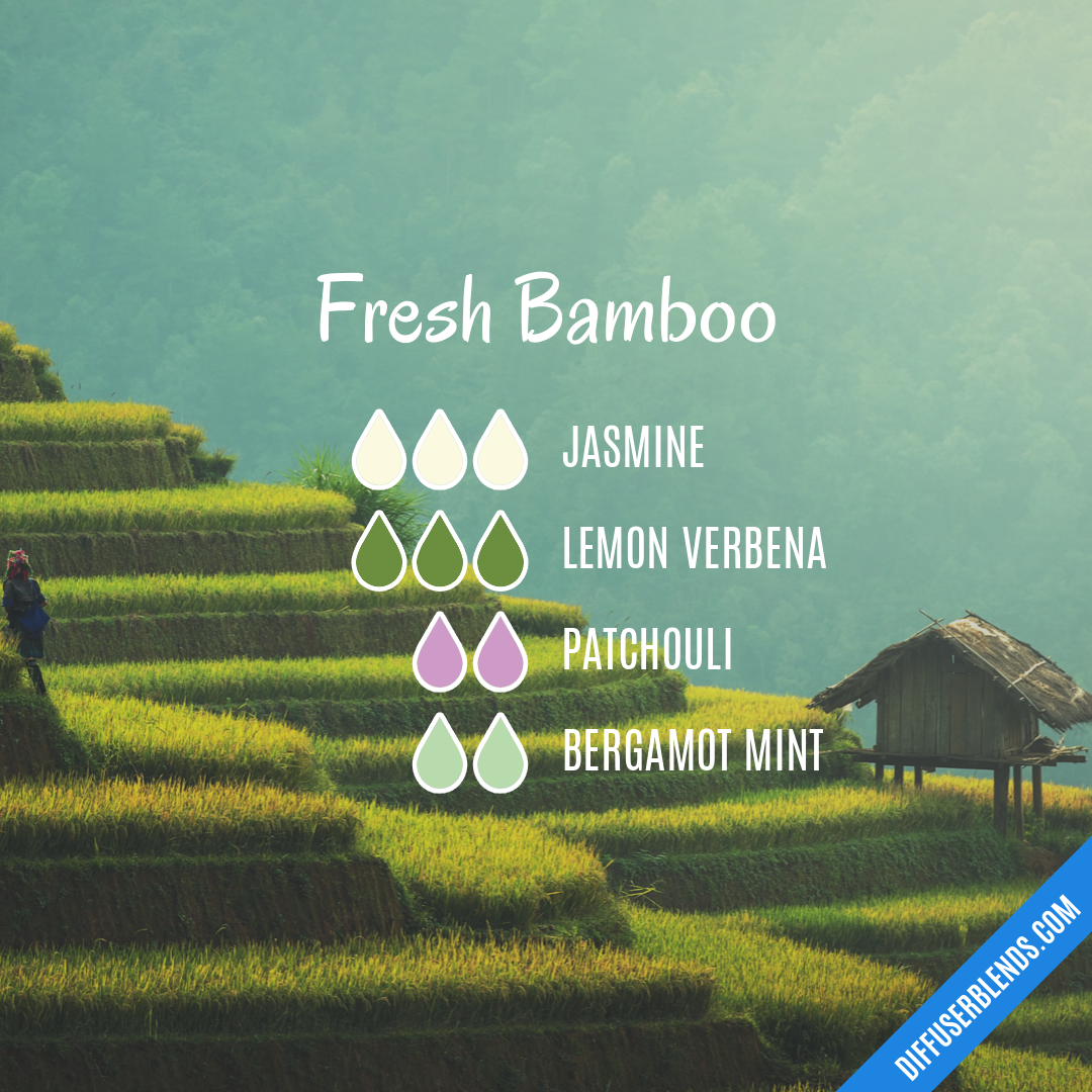 Fresh Bamboo — Essential Oil Diffuser Blend