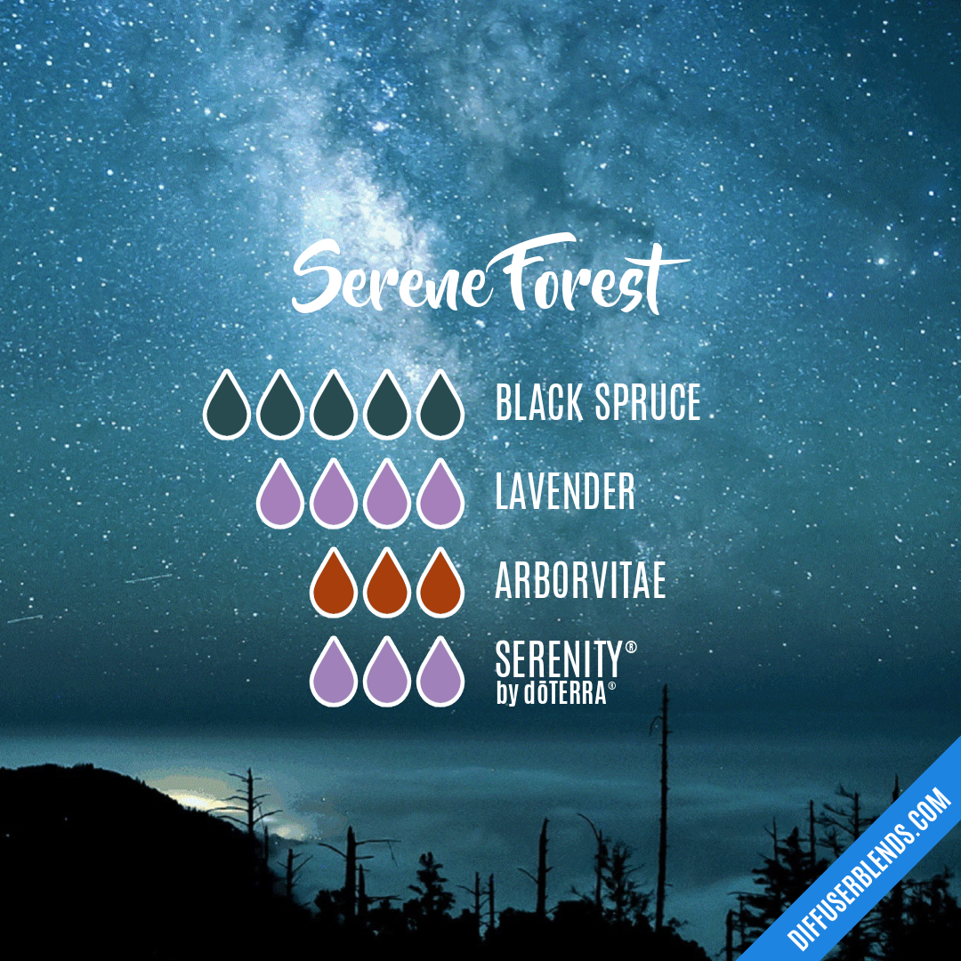 Serene Forest — Essential Oil Diffuser Blend
